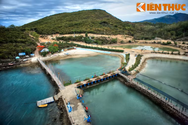 Hòn Miễu là một điểm đến thú vị cho những ai yêu thích các loài sinh vật biển. Đây là vùng hồ trên biển được ngăn lại bằng hệ thống kè đá. Trong hồ nuôi thả hàng trăm loại sinh vật biển quý hiếm và đẹp mắt như một bảo tàng sống về biển.