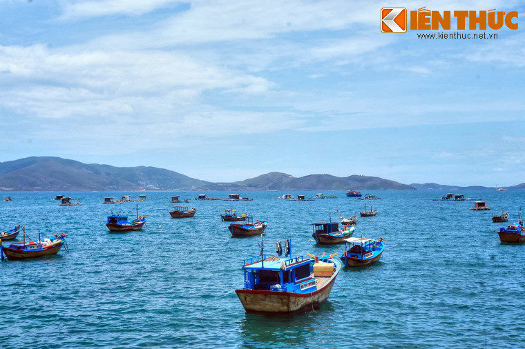 Nhiều đảo trong vịnh Nha Trang là nơi sinh sống của chim yến, điều làm nên thương hiệu trứ danh của yến sào Nha Trang.