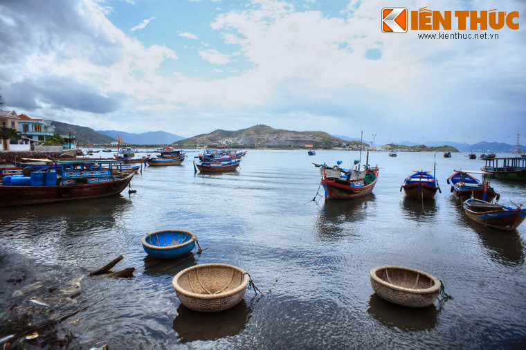 Về mặt sinh thái, vịnh Nha Trang là một trong những hình mẫu tự nhiên hiếm có của hệ thống vũng, vịnh trên thế giới với sự quy tụ hầu hết các hệ sinh thái điển hình, quý hiếm của vùng biển nhiệt đới như hệ sinh thái đất ngập nước, rạn san hô, rừng ngập mặn, thảm cỏ biển, cửa sông, đảo biển, bãi cát ven bờ.