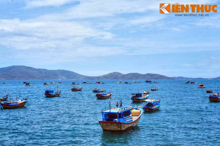 Nhiều đảo trong vịnh Nha Trang là nơi sinh sống của chim yến, điều làm nên thương hiệu trứ danh của yến sào Nha Trang.