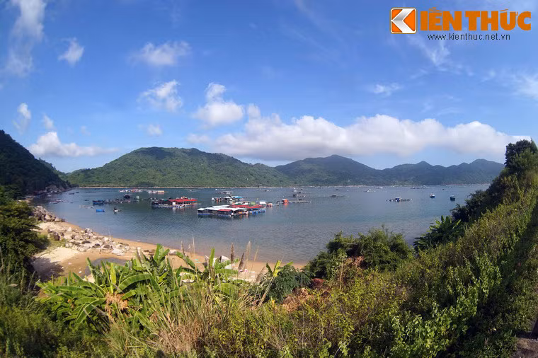 Ngoài tiềm năng du lịch, vịnh Vũng Rô là một trong ba địa điểm có điều kiện tự nhiên tốt nhất tại Việt Nam để xây dựng cảng biển lớn, bên cạnh vịnh Cam Ranh và vịnh Vân Phong của tỉnh Khánh Hòa.