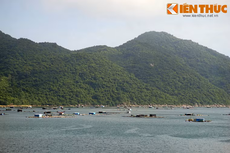 Trong giai đoạn này, Vũng Rô đã tiếp nhận bốn chuyến tàu cập bến an toàn, đưa được hàng ngàn tấn vũ khí đạn dược chi viện cho chiến trường Nam Trung Bộ và Tây Nguyên.