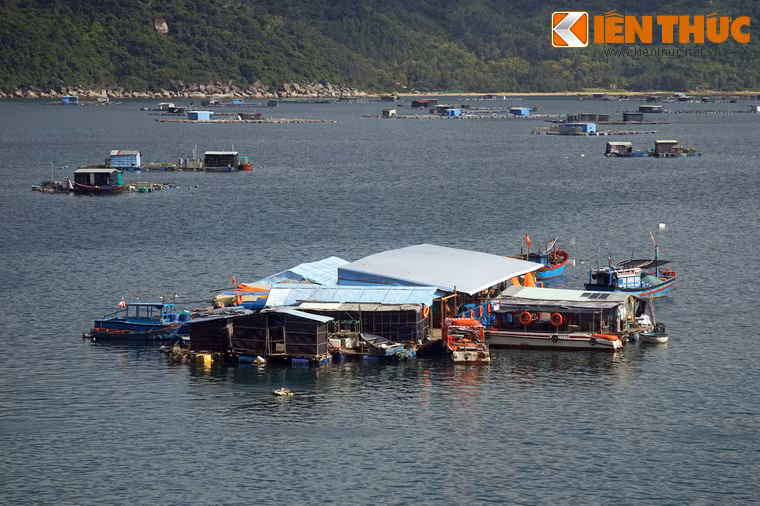 Ngày nay, tận dụng cảnh quan và vị trí địa lý thuận lợi của vịnh, nhiều loại hình du lịch đã được phát triển như tắm biển, thưởng thức hải sản ở nhà bè, khám phá vịnh bằng ca nô, lặn ngắm san hô...