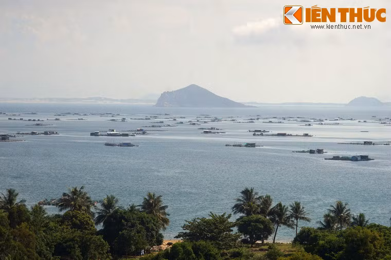 Phía Nam vịnh là đảo Hòn Nưa cao 105 m với những vách đá dựng đứng như một pháo đài. Trên đảo có ngọn đèn biển lớn.