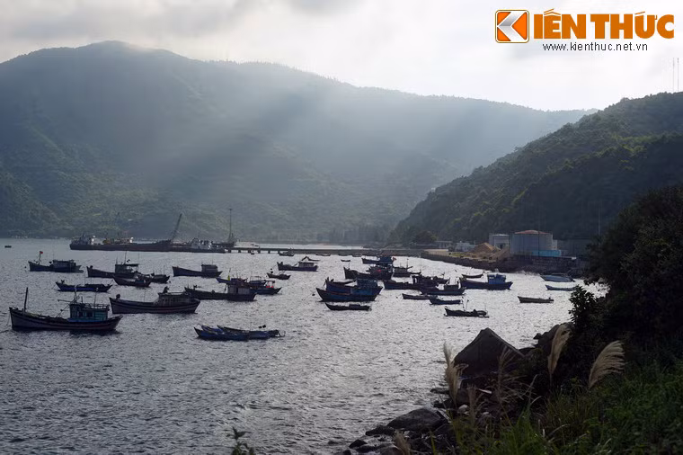 Trong lòng vịnh có nhiều loại tôm cá trú ngụ, là cơ sở cho sự phát triển của nghề nuôi trồng, đánh bắt hải sản ở nơi đây,