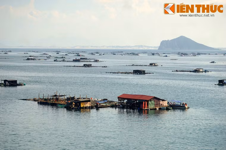 Sự hiện diện với mật độ lớn của các nhà bè nuôi cá làm nên nét đặc trưng của vịnh Vũng Rô so với so với các vịnh biển khác ở Việt Nam.