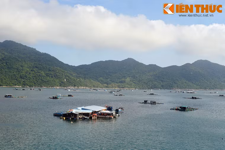 Vịnh có diện tích 16,4 km² mặt nước, nằm tiếp giáp với biển Đại Lãnh thuộc vịnh Vân Phong, tỉnh Khánh Hòa, được ba dãy núi cao che chắn là Đèo Cả, Đá Bia và Hòn Bà từ ba phía Bắc, Đông và Tây.