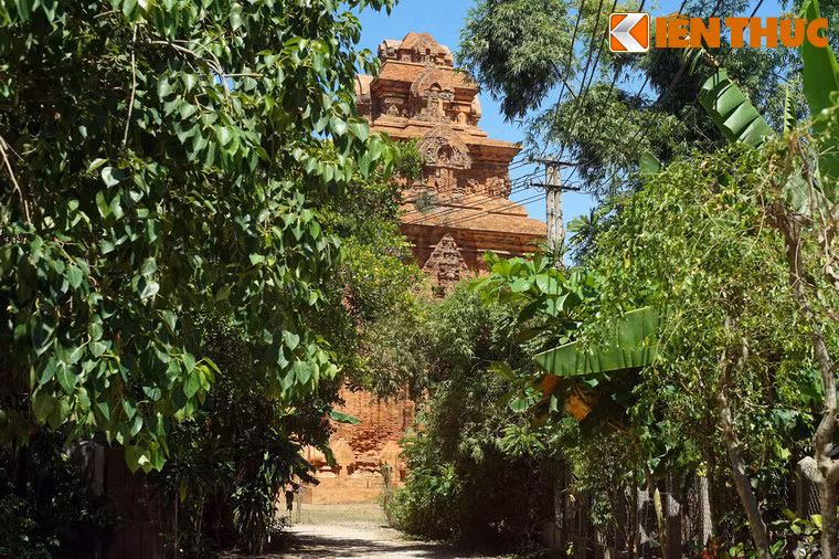 Một số hình ảnh khác về tháp Bình Lâm.