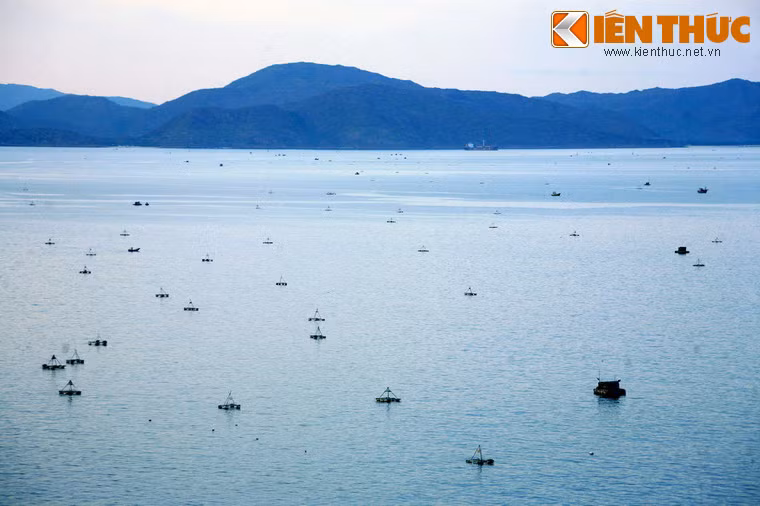 Với nhiều thắng cảnh đẹp nhưng chưa được biết đến rộng rãi, có thể nói tiềm năng du lịch của vịnh Quy Nhơn vẫn chưa được phát huy hết.