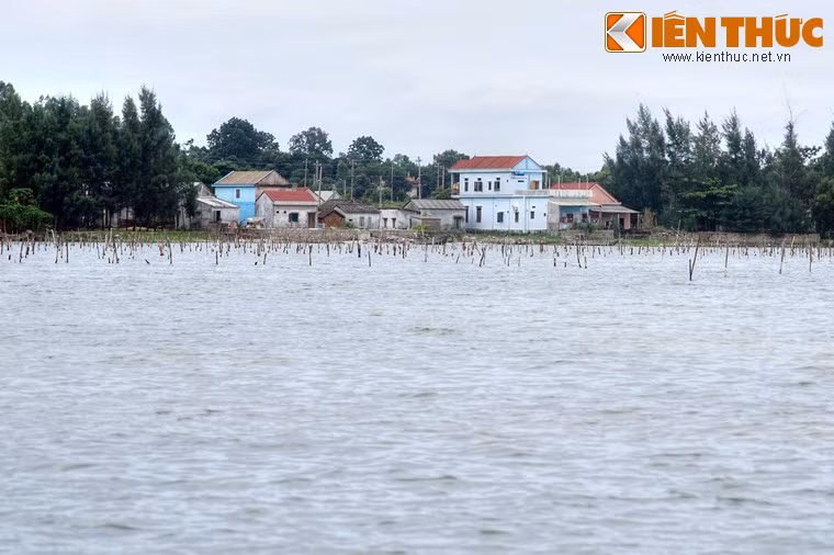 Nghề nuôi hàu đã đem lại đời sống khấm phá cho hàng trăm hộ ngư dân sống quanh đầm.
