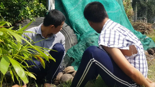  Hơn 100 học viên cai nghiện xông ra ngoài, lấy xe máy người dân trốn chạy: Sáng 20/11/2019, đang giờ lao động, nhóm học viên tại cơ sở nghiện ma túy (tại xã Tam Hiệp, Châu Thành, An Giang) bất ngờ la hét, tràn ra khỏi cổng trại. Lực lượng bảo vệ đã cố can ngăn nhưng không được, một số học viên còn lấy xe máy của người dân để trốn chạy. Một số học viên còn chạy bộ lên đường cao tốc TP.HCM - Trung Lương. Đến 13h30 cùng ngày, lực lượng chức năng đã đưa trở lại được khoảng 55 học viên trong tổng số khoảng 120 học viên bỏ trốn. 