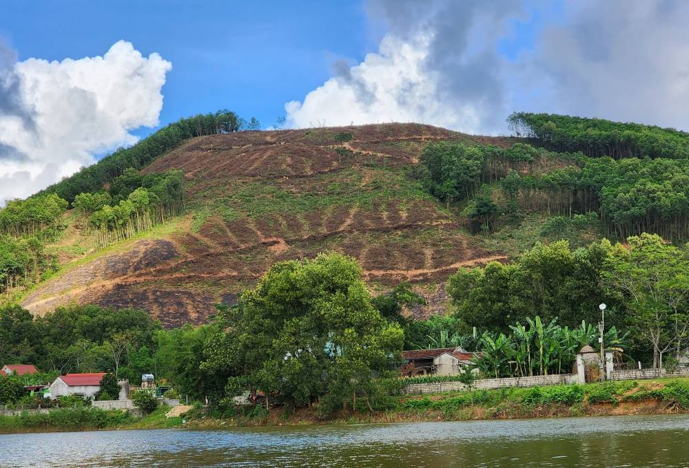  Bắt đối tượng thu tiền bảo kê mua cây keo: Tháng 11/2023, Công an huyện Nông Cống, Thanh Hóa đã bắt N. D. Ch. (51 tuổi, trú tại xã Thăng Bình liên quan tới việc đòi tiền “bảo kê” hàng chục triệu đồng thương lái đến mua keo. Trước đó, một số người dân ở xã Thăng Bình phản ánh, trên địa bàn xuất hiện tình trạng một số đối tượng vòi tiền bảo kê của người thu mua gỗ keo, thậm chí có thương lái phải chịu mất hàng chục triệu đồng mới được yên ổn khai thác vườn cây đã mua. (Vườn cây keo tại xã Thăng Bình)