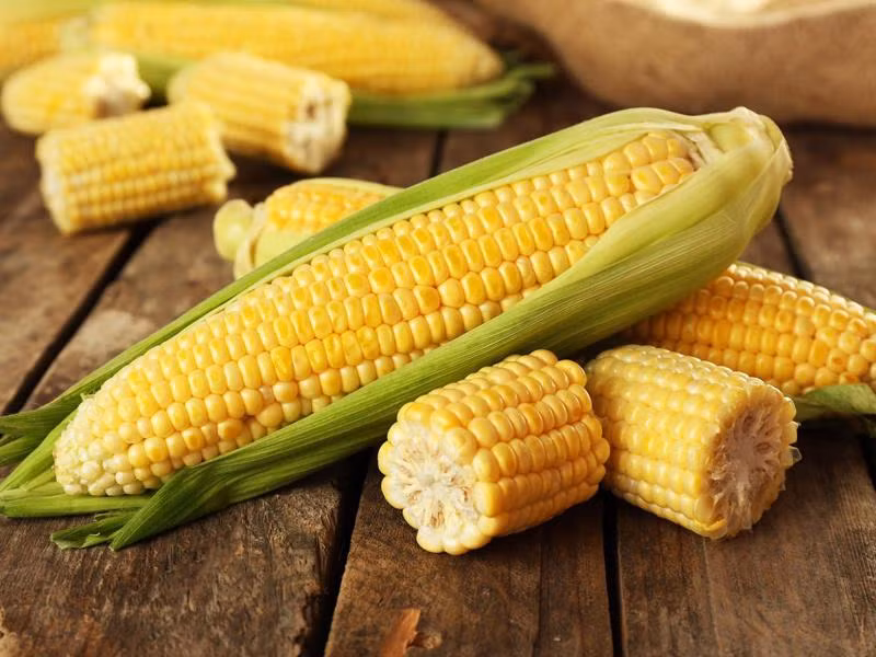 Ngô là một nguồn cung cấp dồi dào các loại vitamin C, vitamin B1, vitamin B9 và các thành phần khác như chất đạm, chất béo, chất xơ, magie, kali rất tốt cho sức khỏe của chúng ta. Ảnh minh họa