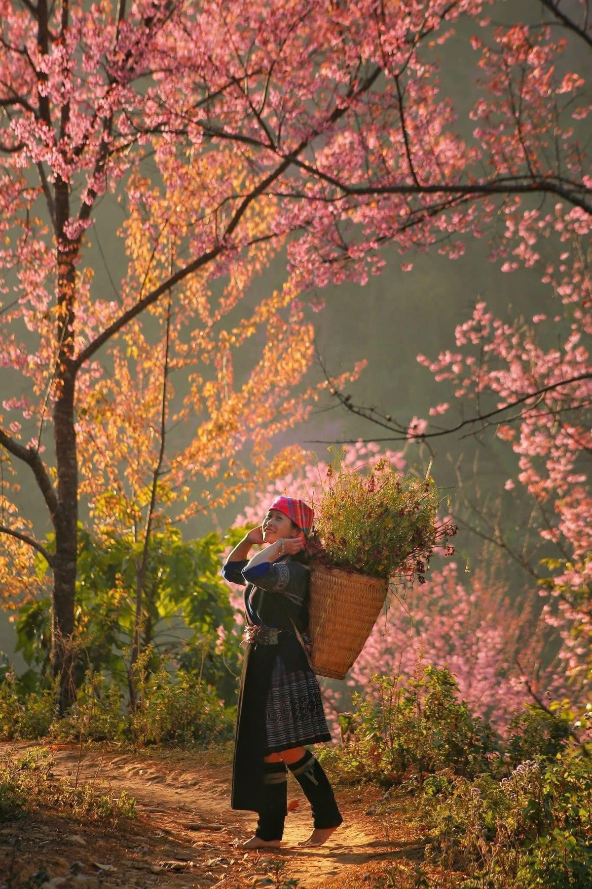 Không chỉ làm đẹp cho bản làng, những năm gần đây tớ dày còn mang lại nguồn thu nhập mới cho bà con bản Mông mỗi độ xuân về. Ảnh Checkin Việt Nam