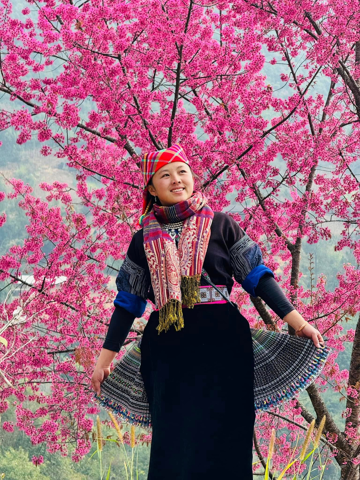 Hoa Tớ Dày phác họa nên bức tranh tự nhiên đẹp đến nao lòng. Ảnh Fb Thu Uyên