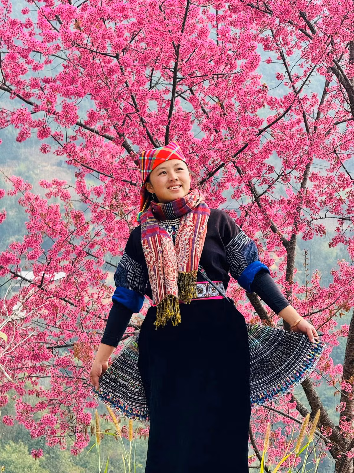 Hoa Tớ Dày phác họa nên bức tranh tự nhiên đẹp đến nao lòng. Ảnh Fb Thu Uyên