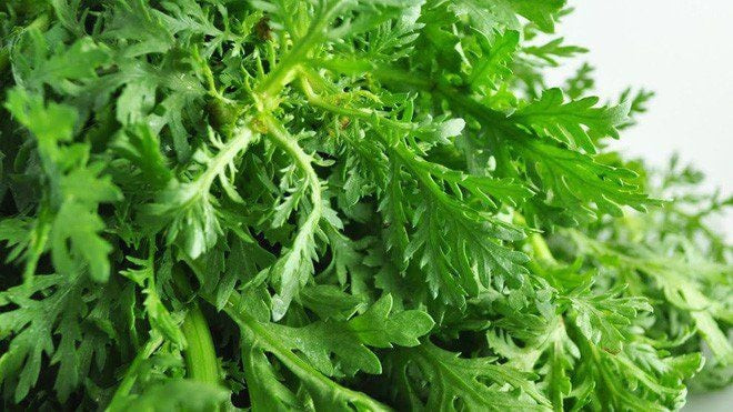 Lợi ích sức khoẻ tuyệt vời của rau cải cúc - Hình 3 Loi ich suc khoe tuyet voi cua rau cai cuc-Hinh-3