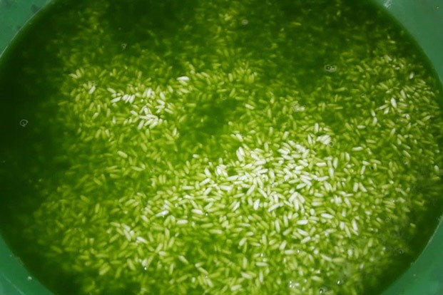 Bí quyết gói bánh chưng dẻo thơm, đậm đà hương vị Tết - Hình 5 Bi quyet goi banh chung deo thom, dam da huong vi Tet-Hinh-5