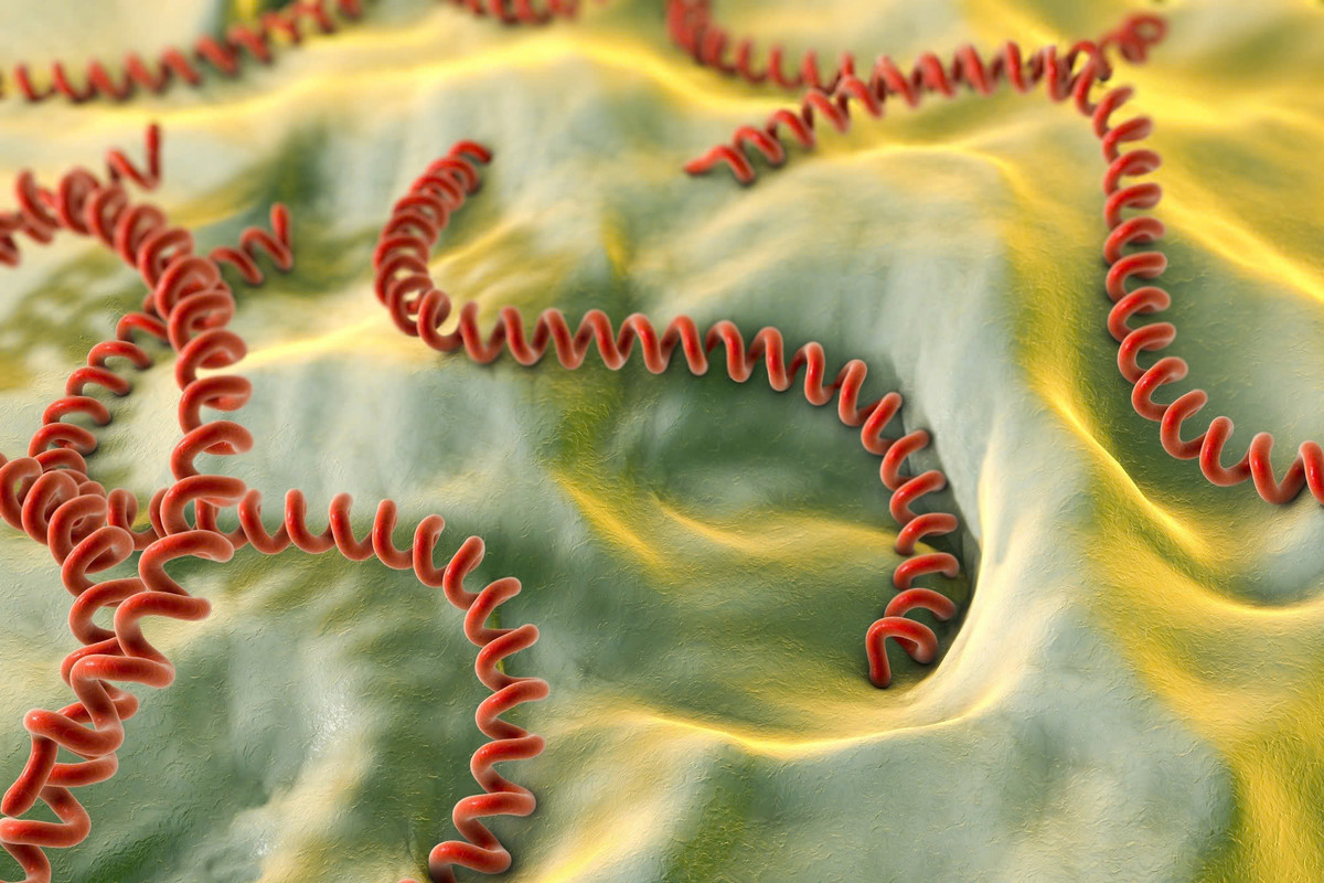 Loi muong bat oc, nguoi dan ong bi... viem mang nao nguy hiem-Hinh-2