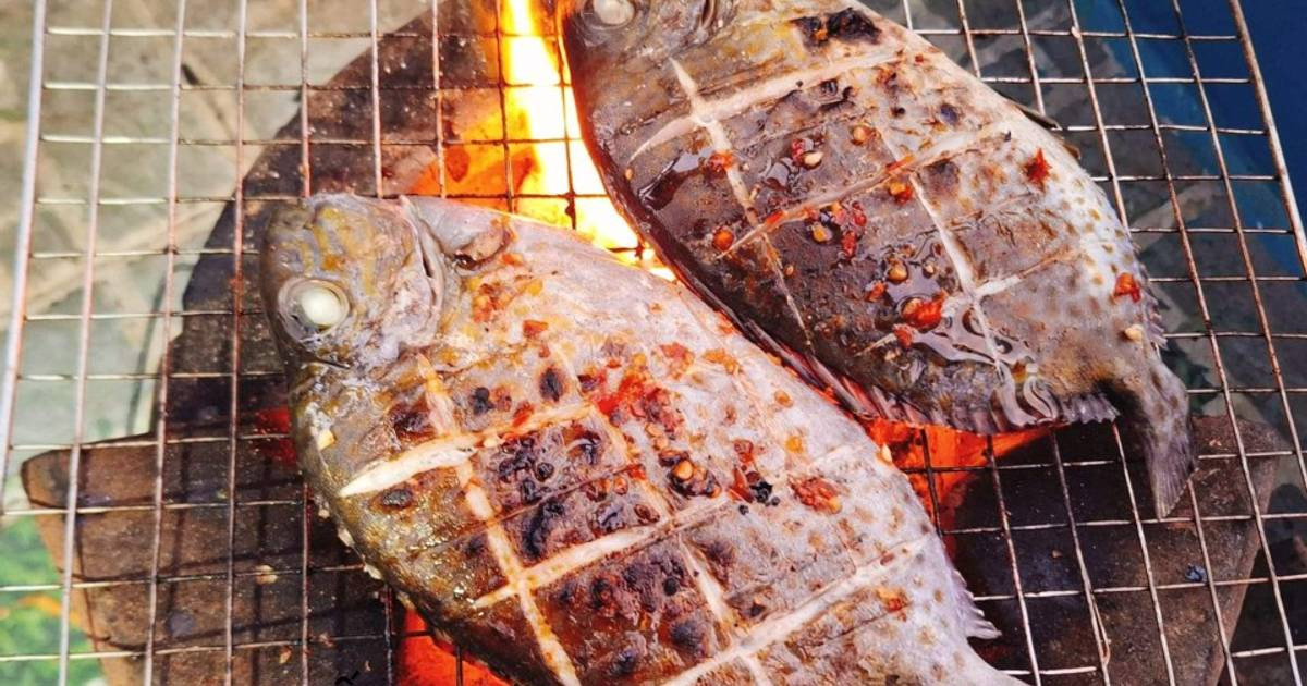 Cá dìa giàu dưỡng, thịt chắc thơm ngon có thể nấu được nhiều món ngon, đa dạng phù hợp với nhiều khẩu vị. Ảnh Internet