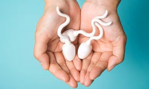 Tinh trung song duoc bao lau trong tu cung?-Hinh-2