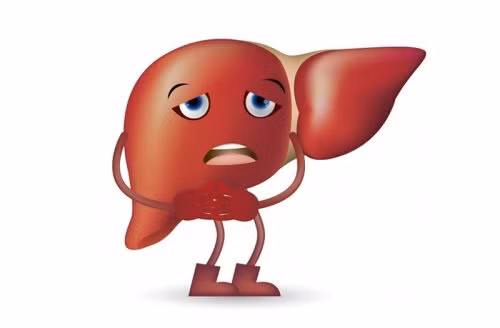 Những thói quen sinh hoạt và ăn uống kém rất dễ khiến bộ phận này bị quá tải, từ đó làm một số chất độc trong cơ thể không kịp đào thải ra ngoài. Ảnh minh họa