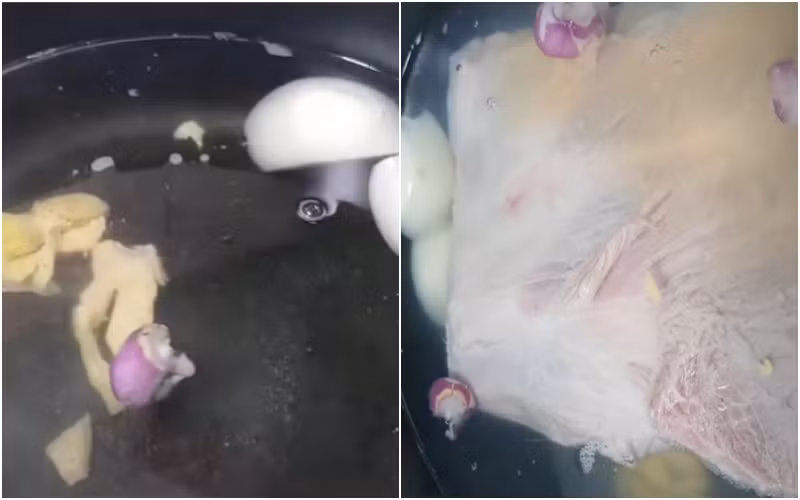  Luộc thịt: Bắc một cái nồi lên cho vào 2 lít nước tiếp đến cho thêm 2 muỗng canh rượu, gừng, hành tím, tỏi và hành tây, cho phần thịt heo đã sơ chế trước đó vào luộc trong 30 phút. Để kiểm tra thịt heo đã chín chưa dùng 1 chiếc đũa ấn vào thịt heo nếu thấy thịt mềm và không có lớp máu rỉ lên chứng tỏ phần thịt đã được luộc chín. Sau đó vớt thịt ra tô cho ráo nước và để nguội. Ảnh Internet