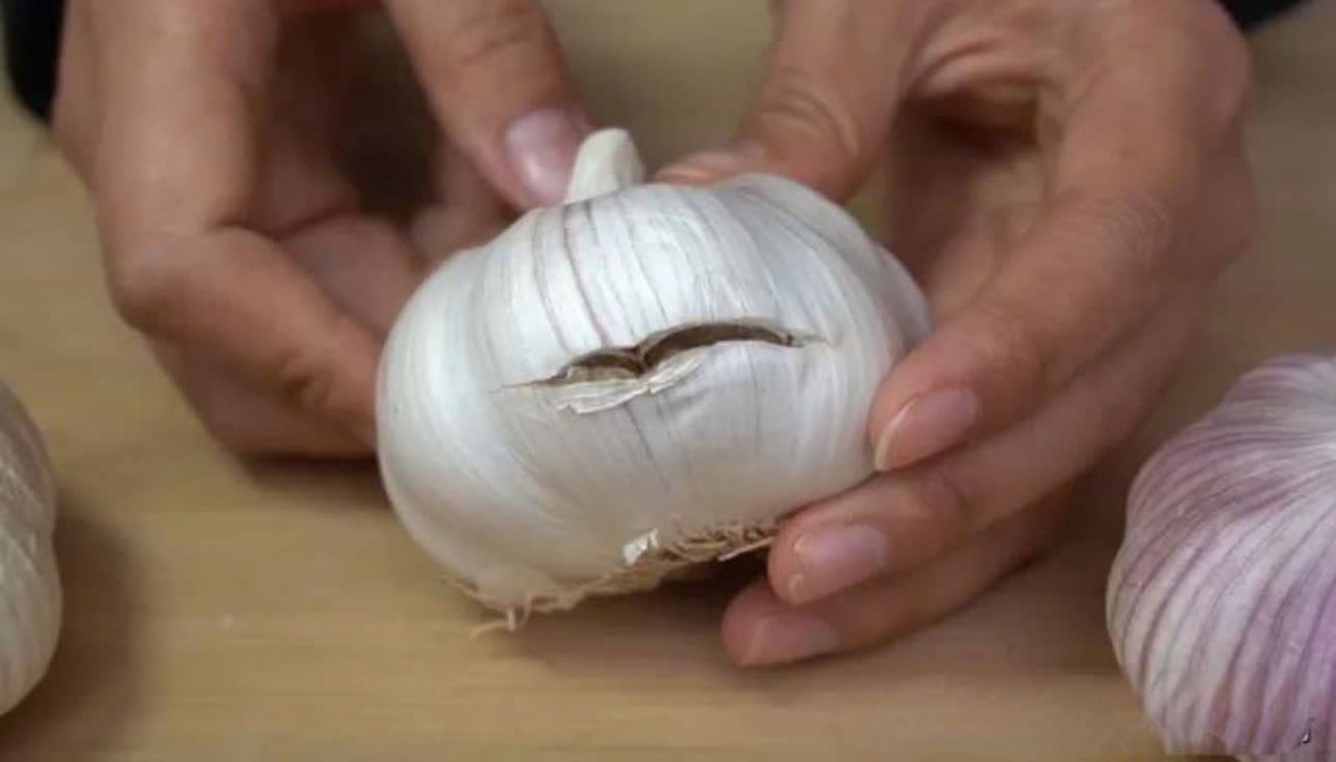  Tỏi có vết nứt rất dễ bị vi khuẩn xâm nhập và có thể lây nhiễm sang các nhánh tỏi lành, khiến cả củ tỏi bị hỏng. Ảnh minh họa