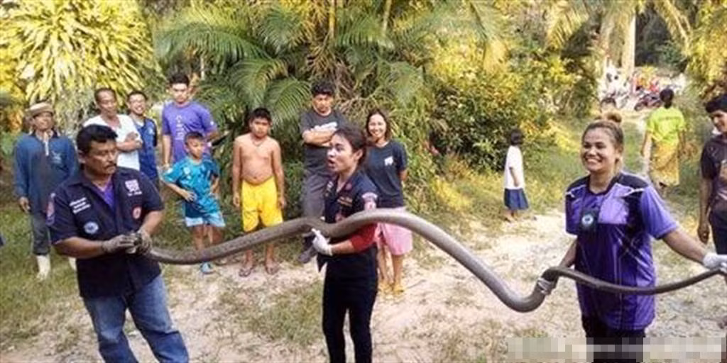 Dang tro chuyen, nguoi phu nu hai hung nhin 