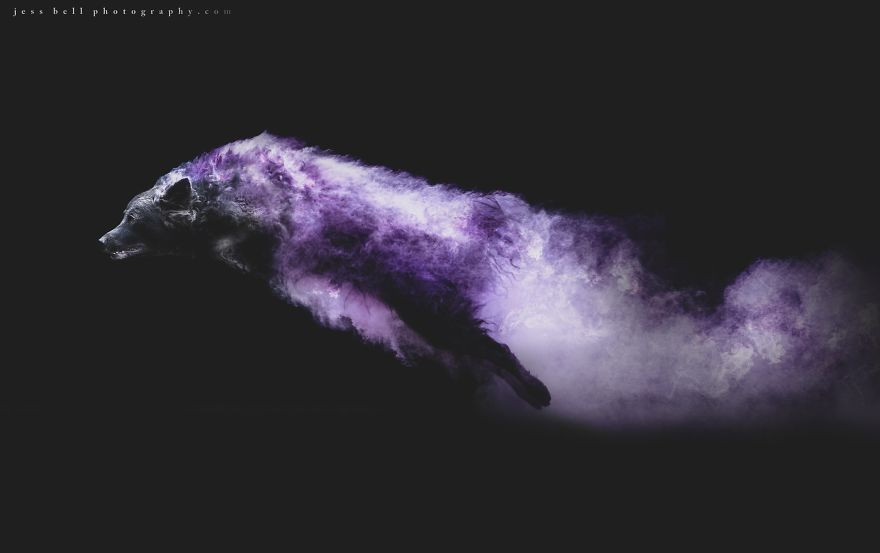 Những mảng bột màu hoạt động hệt như thiết bị khuếch tán chuyển động hoàn hảo.