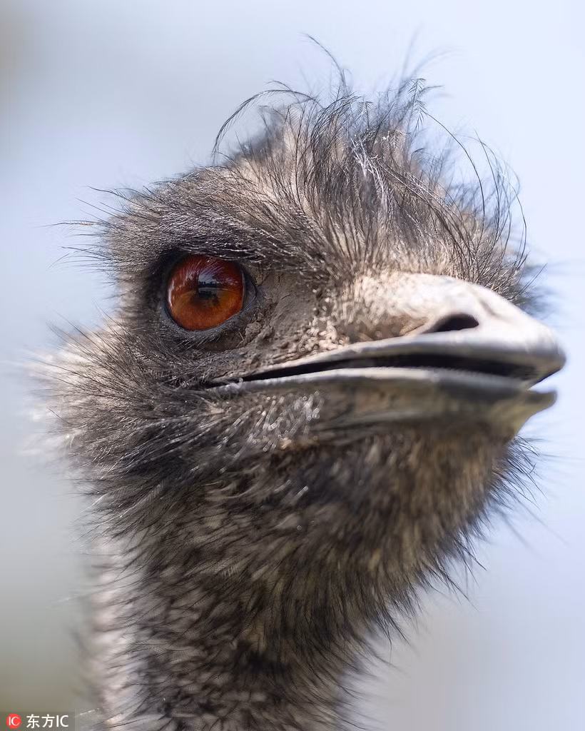 Phat hien minh duoc chup anh, da dieu lam dieu thu vi-Hinh-2