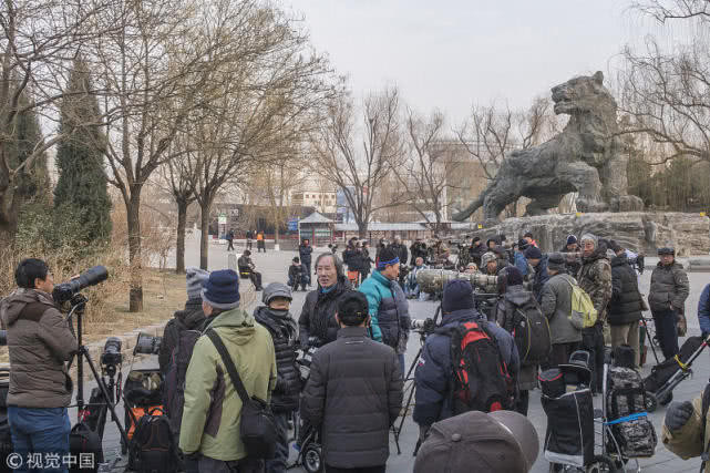 La: Con chim lac duong 