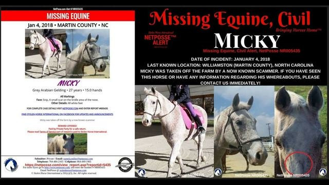 Nu sinh vien thu y cuu chuc con ngua va su that kinh khung-Hinh-2