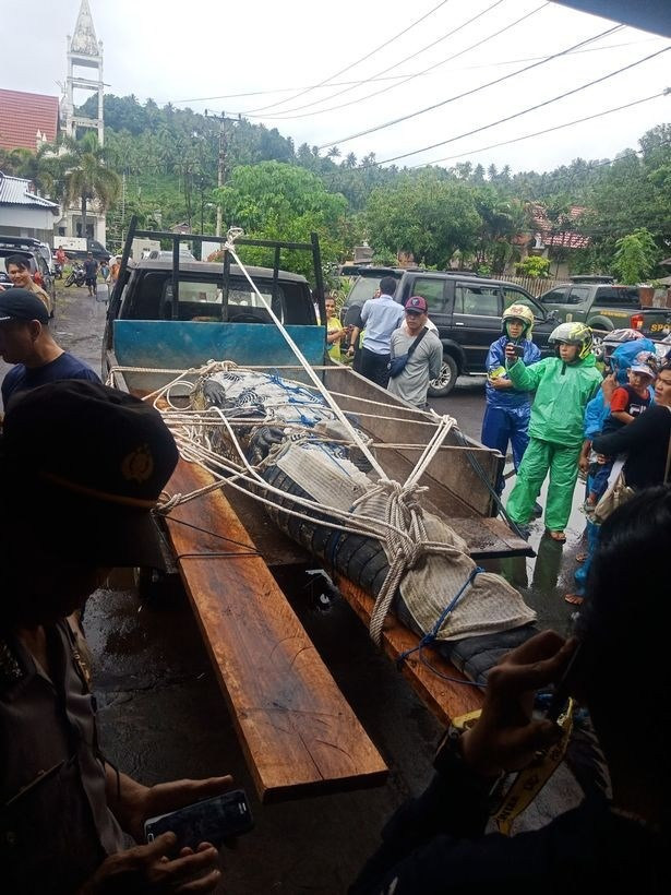 Lam than voi ca sau 15 nam, co gai van gap ket tham khoc-Hinh-4