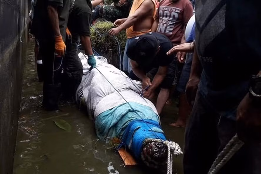 Lam than voi ca sau 15 nam, co gai van gap ket tham khoc-Hinh-3