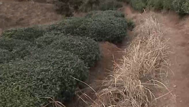 Con trai bi bai nao, bo lam dieu khung khiep khong ngo...