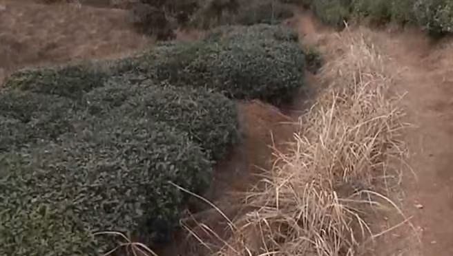 Con trai bi bai nao, bo lam dieu khung khiep khong ngo...