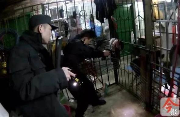 Rung minh cho Ngao Tay Tang dot nhien quay lai can chu