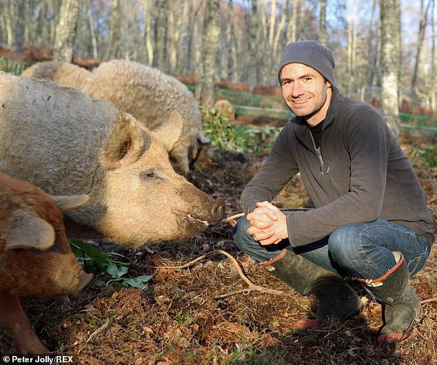 Loai lon doc la de thuong nhu cuu, thong minh nhu cho-Hinh-3