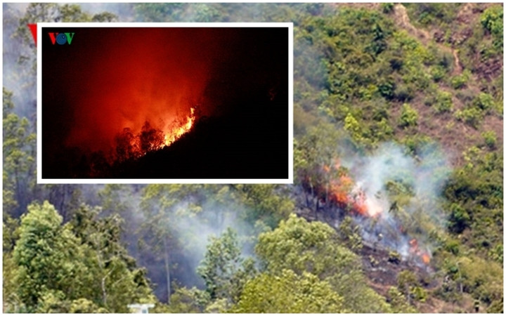 3, Cháy 20 ha rừng dưới chân núi Bà Hỏa (Bình Định) Khoảng 8h ngày 9/8/2014, anh Lâm cùng vợ đến khu nghĩa địa Hóc Bà Bếp dưới chân núi Bà Hỏa (TP Quy Nhơn) để thắp nhang trên mộ người thân. Trong lúc đốt nhang, anh Lâm vô tình làm rơi tàn lửa xuống đám cỏ khô và thực bì làm ngọn lửa bùng phát. Sau đó, ngọn lửa bùng cháy dữ dội nhanh chóng lan rộng sang các khu vực trên rừng trên núi Bà Hỏa, uy hiếp hàng trăm hộ dân sống dưới chân núi.