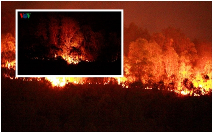 Ngay sau khi xảy ra vụ cháy, lãnh đạo tỉnh Bình Định đã huy động trên 800 cán bộ, chiến sĩ và người dân thâu đêm chữa cháy. Đến 3h sáng 10/8/2014, vụ cháy mới được dập tắt hoàn toàn. Vụ cháy làm thiệt hại khoảng 20 ha rừng của Công ty TNHH Lâm nghiệp Quy Nhơn. Theo kết luận của Hội đồng định giá tài sản trong tố tụng hình sự TP Quy Nhơn, tổng giá trị thiệt hại tài sản của vụ cháy rừng lên đến trên 1 tỷ đồng.