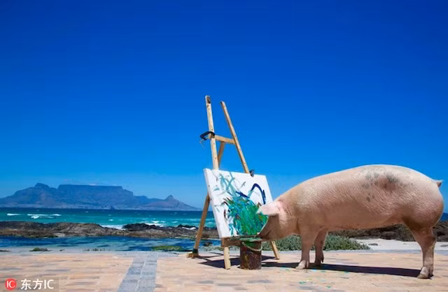 Gap chu lon Pigcasso, ve tranh khong thua gi hoa si-Hinh-2