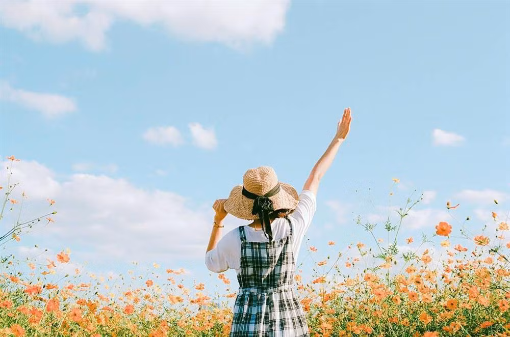 Sau ong Cong ong Tao, 4 cung hoang dao phat len 