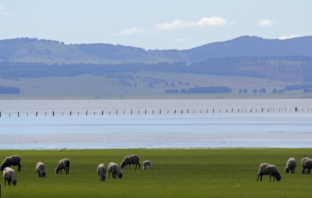 Bi an ho nuoc ao anh luc an luc hien vo cung kho doan-Hinh-4