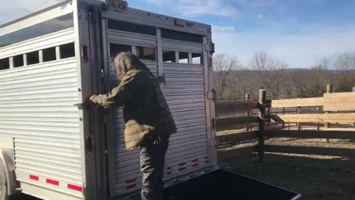 Brianna lang thang trên đường cao tốc, mải miết chạy trốn cho đến khi cảnh sát địa phương đuổi theo và bắt nó lại.