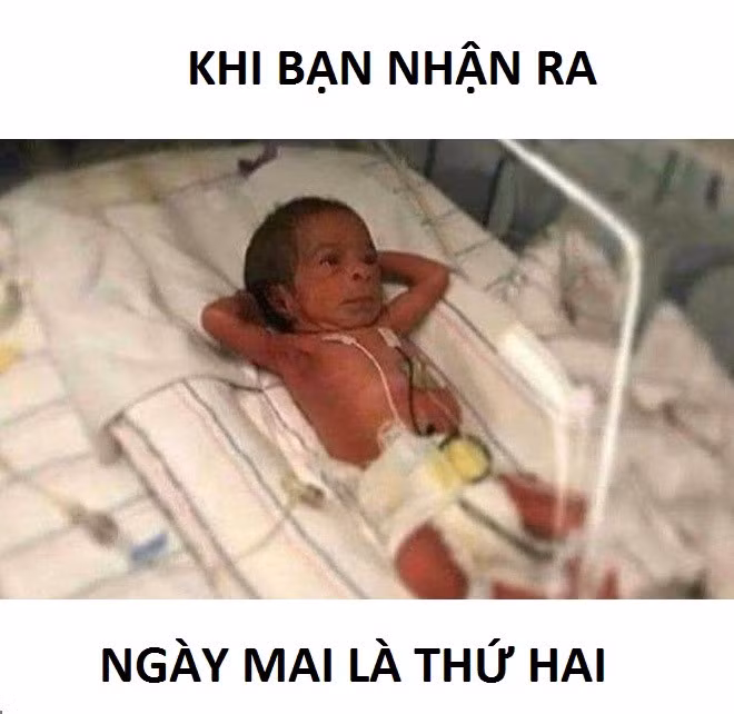 Trong khi bạn vẫn chưa làm bài tập về nhà.