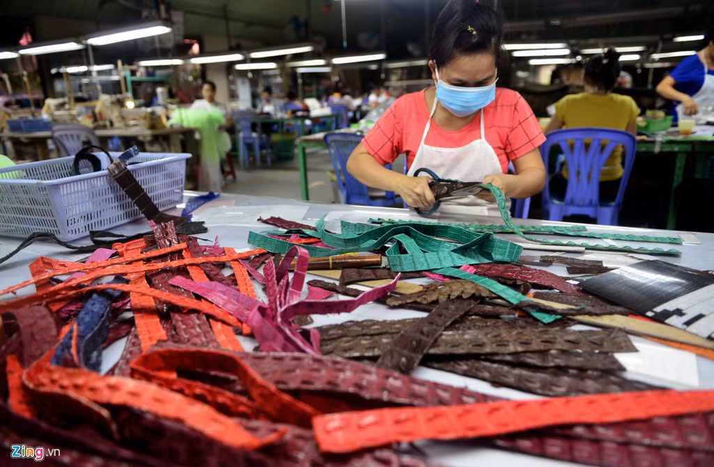 Trải qua nhiều công đoạn mới có được những tấm da đủ màu sắc.