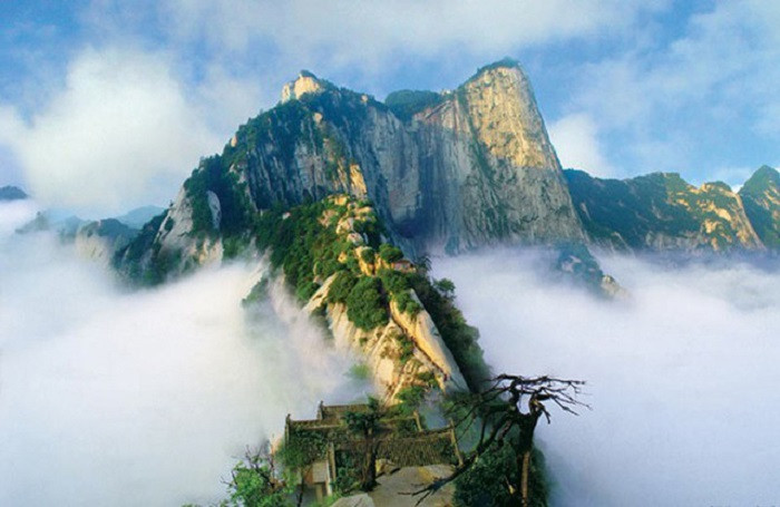 Từ những giá trị văn hóa và lịch sử trên, trong tâm thức người Trung Quốc và Á Đông nói chung từ bao đời nay, Thái Sơn biểu trưng cho sự linh thiêng, to lớn, cao cả, vững chãi, sinh trưởng, là yếu tố dương trong quan hệ âm dương, hai thành tố cơ bản của vũ trụ và cấu trúc vạn sự vạn vật. Vì vậy mà người xưa ca ngợi “Công cha như núi Thái Sơn”.