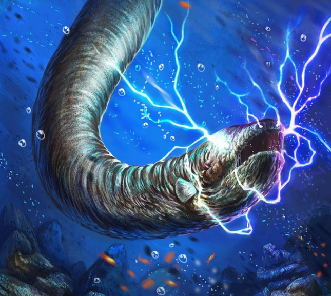 Một con lươn điện trưởng thành hoàn toàn có thể tạo ra năng lượng điện có hiệu điện thế 600V theo từng đợt ngắn và mạnh, kéo dài 2s/lần giật. Hàng ngàn tế bào cơ sản sinh điện năng là nguồn tải của lượng điện khổng lồ này. Cụ thể, một cá thể dài 1,8m có khoảng 6000 tế bào cơ cùng nhau tích tụ tạo nên nguồn điện 600V, gấp 5 lần tiêu chuẩn độ mạnh dòng điện thông thường tại Mỹ và trên hầu hết thế giới.