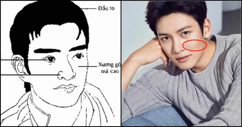 Họ rất ổn định trong công việc. Họ rất hách dịch và có thể khiến mọi người phải tuân theo. 